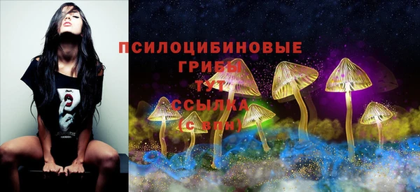 ECSTASY Иннополис