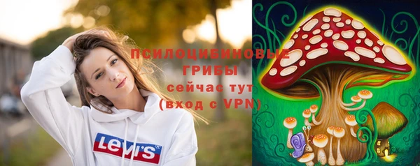 наркотики Инсар