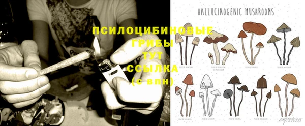 таблы Инта